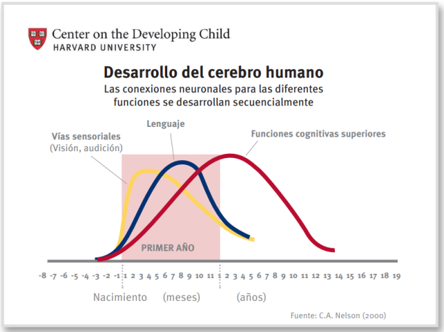 Grafico que representa como se producen las diferentes conexiones neuronales